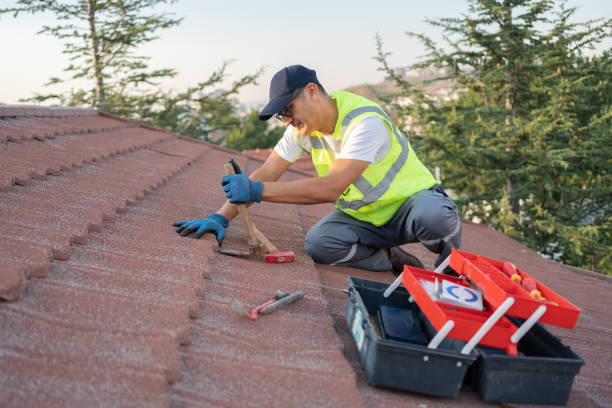 Roof Gutter Cleaning in Rehobeth, AL