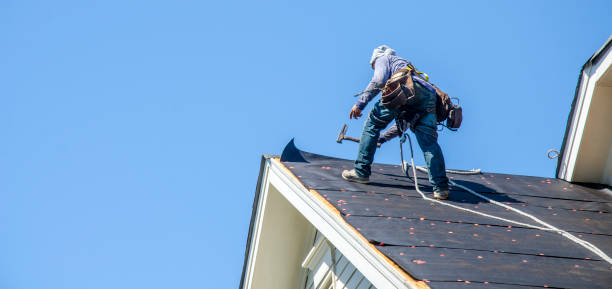 Best Storm Damage Roof Repair  in Rehobeth, AL